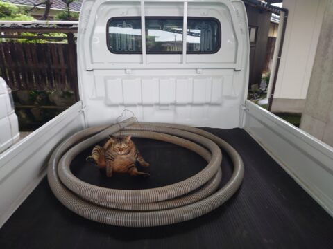 もうちょいで梅雨明けでしょうか？