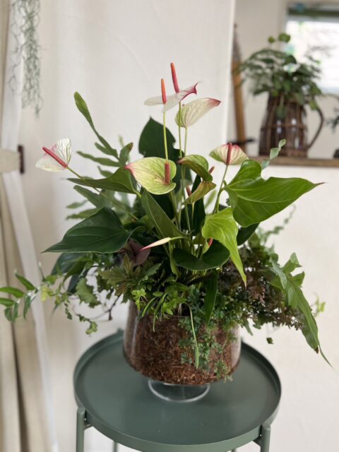 ブリコラージュフラワーを久しぶりに衣替え！